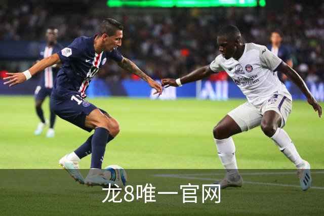 龙8唯一官网公司介绍图